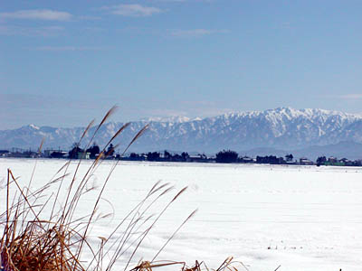 雪原