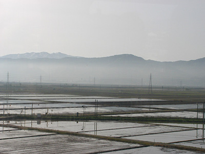 朝もやと田園風景