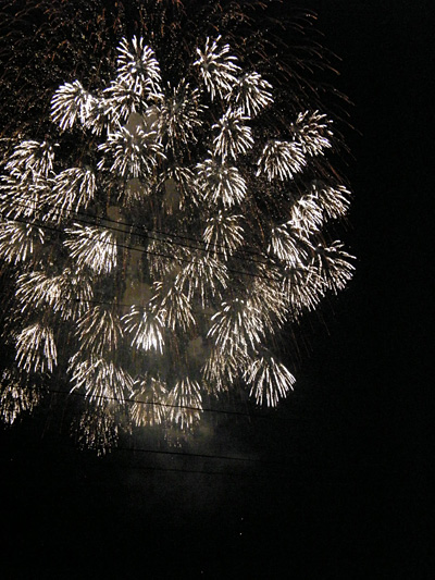 瓢湖の花火
