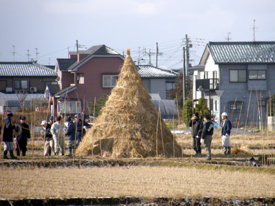 さいの神