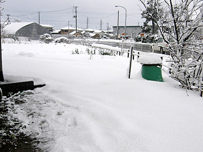 雪