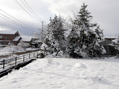 雪景色