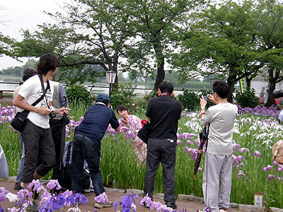 あやめまつり撮影会