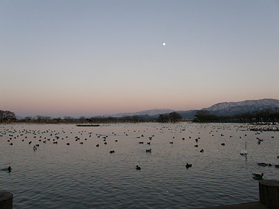 夕暮れの瓢湖