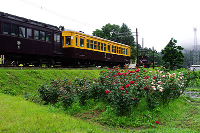 電車と薔薇