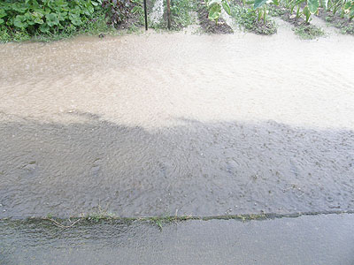 豪雨