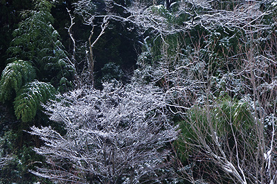 雪景色