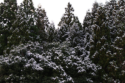 雪景色