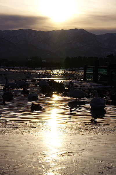 瓢湖