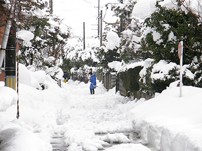 雪