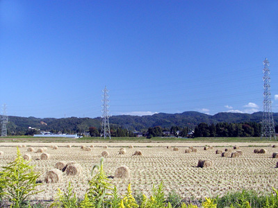 稲藁ロール