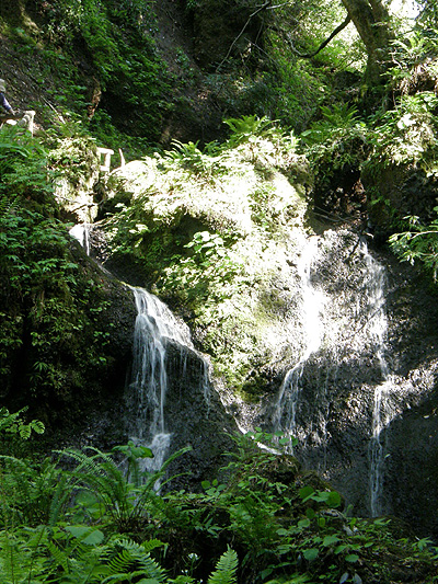 白糸の滝